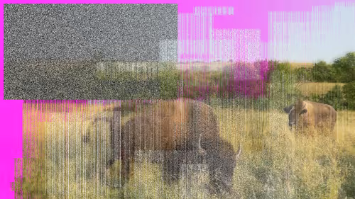 Item #105089968166921690156624725616502706642431777719922472152070405737055942344705 Media