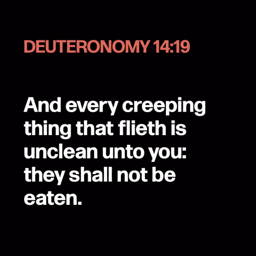 Item #22053356606985035317572807567829034573317121579682343289603639203244602818561 Media