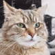 114257031852161480959791948070740244255907818993937776097416846283187240828929
