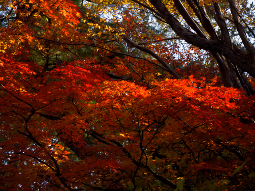 Item #15099377614674255729827518037484709840880486279639044345484425424722601181185 Media