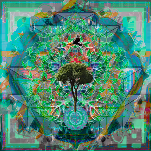 Item #28011235652047248899863448637283696258855594196575472221038642739970473721857 Media