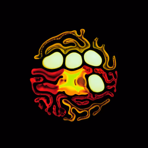 Item #39853347361311550538823328626004824816221754573894422864413753426447668609025 Media