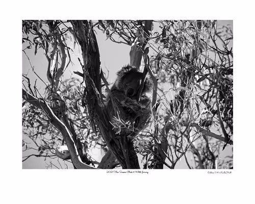 Item #24600310660482288606297797528155087939323639147399647196853483678723678928897 Media