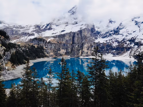 Item #85194694313482311992552065383091349733229460472009518407910609754136663556097 Media