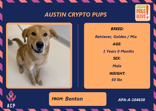 Item #17951378556605612276483806045649535824451571419947225201384628493059803316225 Media