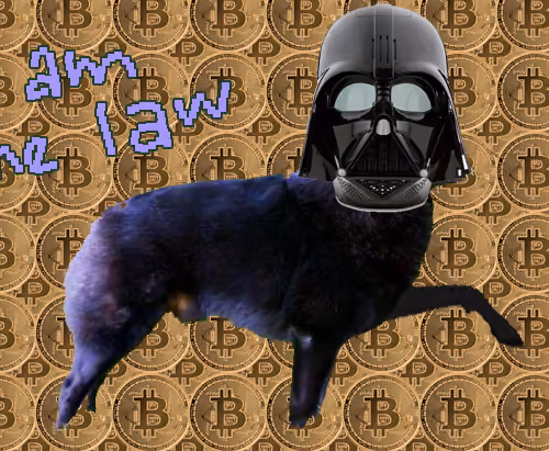 btcdog