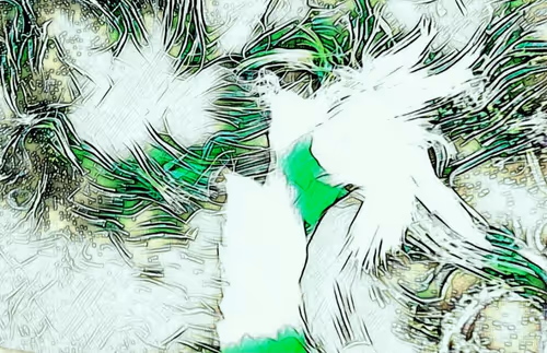 Item #88096187135023197502830601986588997816911014051700883464461199666383597600769 Media