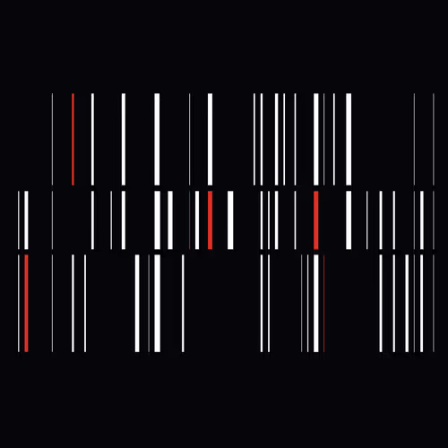Item #109334026439111402368738122638371148948649000304651538036628399768631320248321 Media