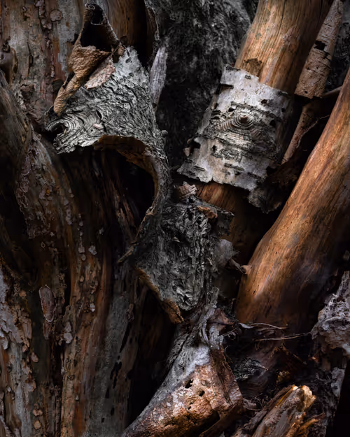 Item #92025450797269199699519638407999947828010124563072321716364901875960839667713 Media