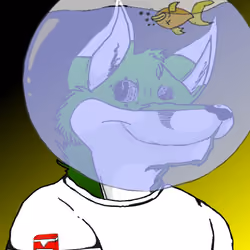 23688839468221188144993998739756285735149059507792849724906880460378085523457