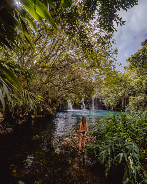 Item #64892573542216553225063327700336004171019867697641980949815581360211911245825 Media