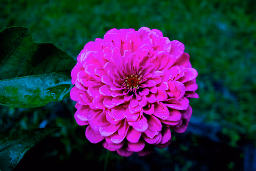 Item #40090172695085413256965535555586358742660933280315103792741764925147718877185 Media