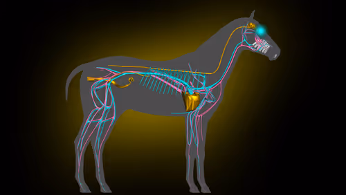 Item #85616260800140778956581373911837214761326127764924071871020287167236233232385 Media