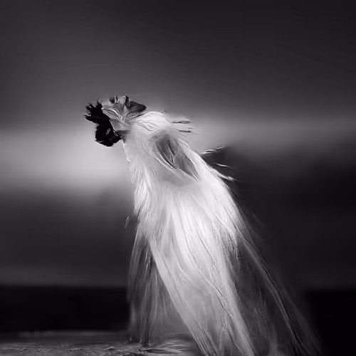 Item #14102882077376408625563496511892199093358336645069197561900844754027619024897 Media