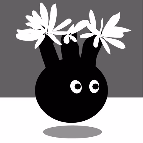 Bonobu-Caudex-Plants Collection