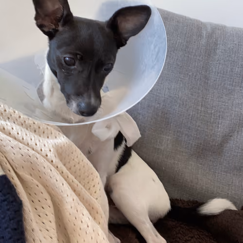 Sad cone boy