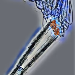 Joint on fire (Ice edition)