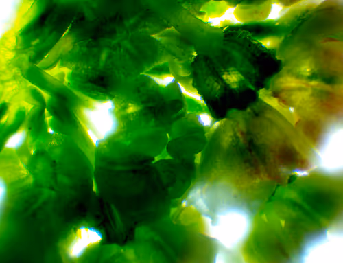 Item #71646257518770613568983710813551014237803002136866425209291833856969284780033 Media