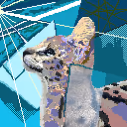 Item Media