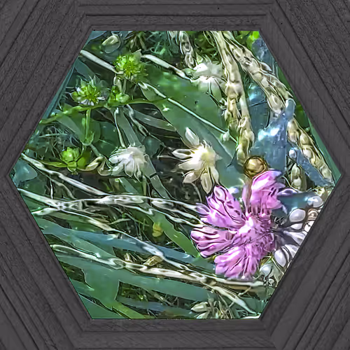 Item #19115886294448247408636390479007434719599239311134408839063466956924999696385 Media