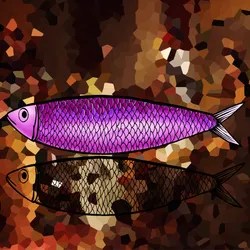 Sardine #0016