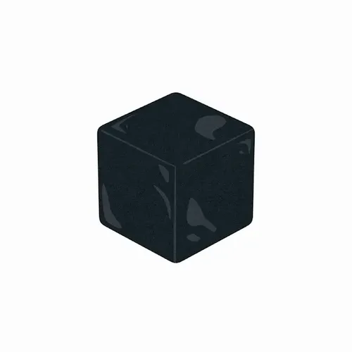 Black Box #9955