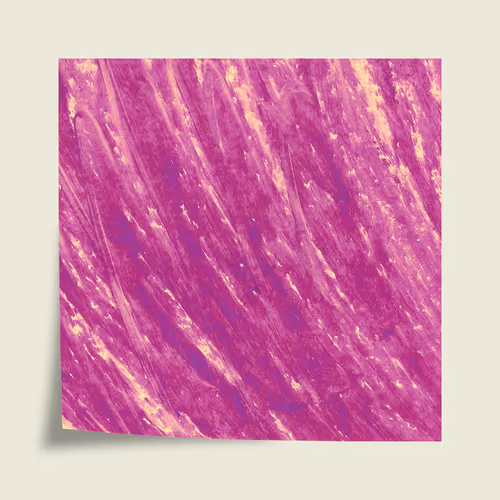 Item #41513183033228335254431674312431026392056503749948606592318857247098683785217 Media