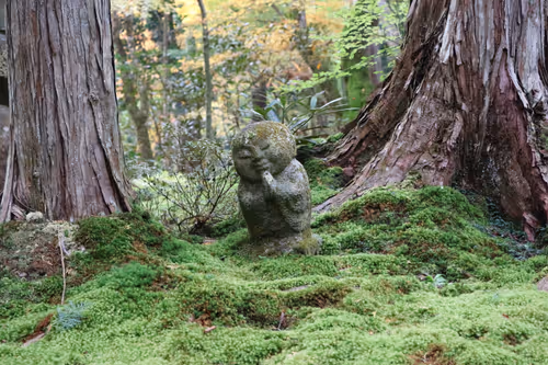 Item #82128306357763875677992979084533453962815137074133455862851432422017880555521 Media