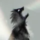 26023064798722440956577641916420595051121675849909238127501437675740006973441