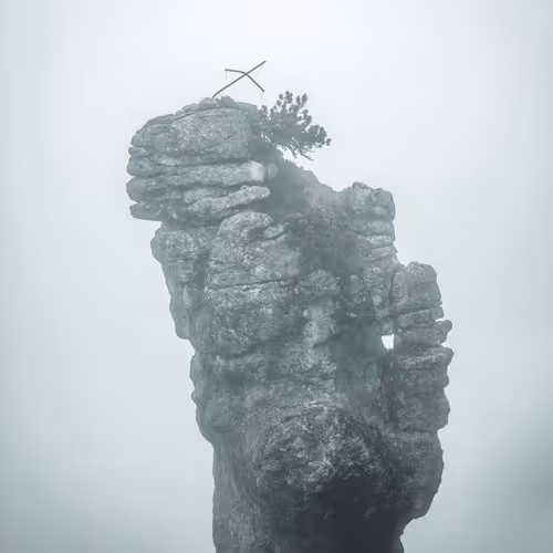 Moments In Nature By Alex Trajilovic