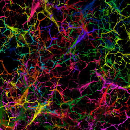 Item #50918555062582210159273167721725581522404743190091886750106034841012167245825 Media