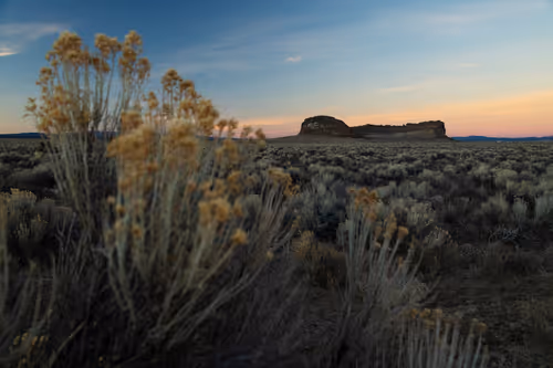 Item #89941232778001750328506202781150262804978379678405675417554418845391429566465 Media