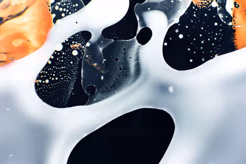 Item #9251341193756129610411101804839683921415719585297066577807806960109239664641 Media