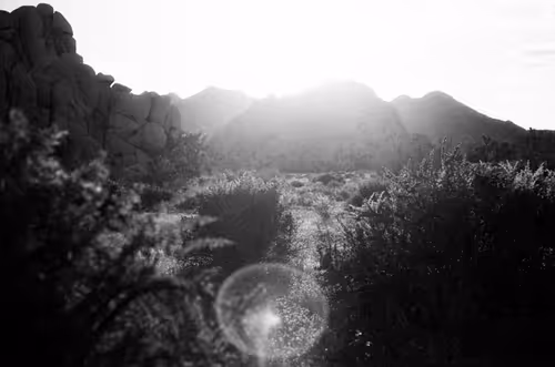 Item #43855545179559374949578343538533146521052449225092810466716167739748214898689 Media