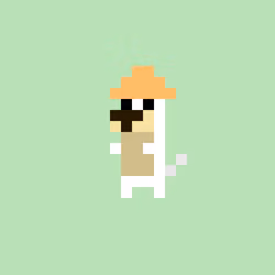 tiny dogs #3402