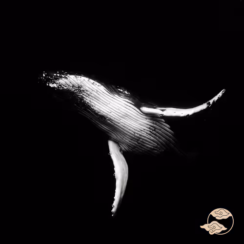 Whale Song 1/5