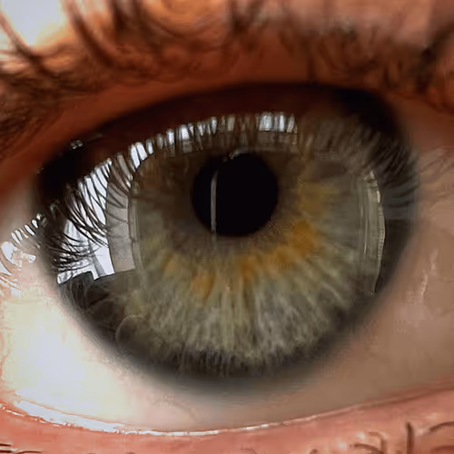 Untitled Collection #176053615 - old