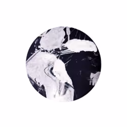 "Noire XII." 🌑