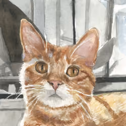 Cat Illustration #20