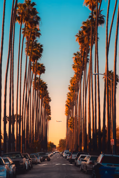 Item #91501497008151221125596935841676000512183505427004855270702190529074685804545 Media