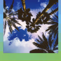 103925043226850068411214111980778021596201122013188060205337914389500761473025