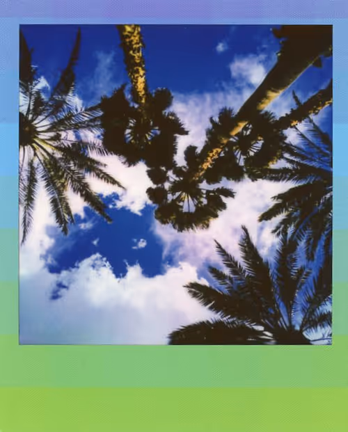 Item #103925043226850068411214111980778021596201122013188060205337914389500761473025 Media