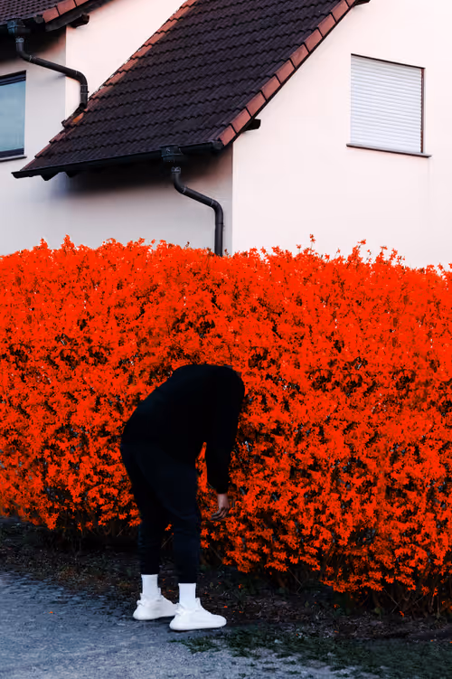 Item #10265671648122468476873680655396214649618748606022625962118217587186812846081 Media