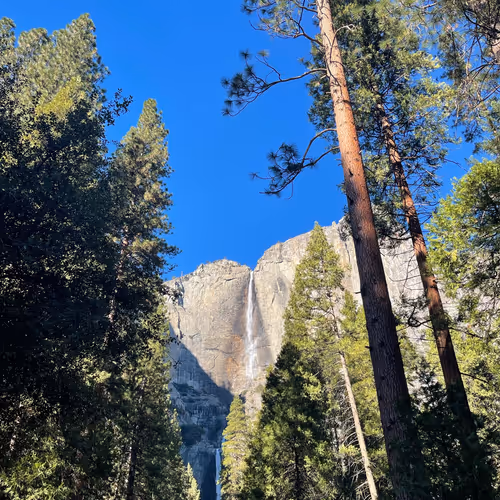 _HASH_ Collection - old