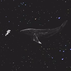 Elon Musk - Bitcoin Whale