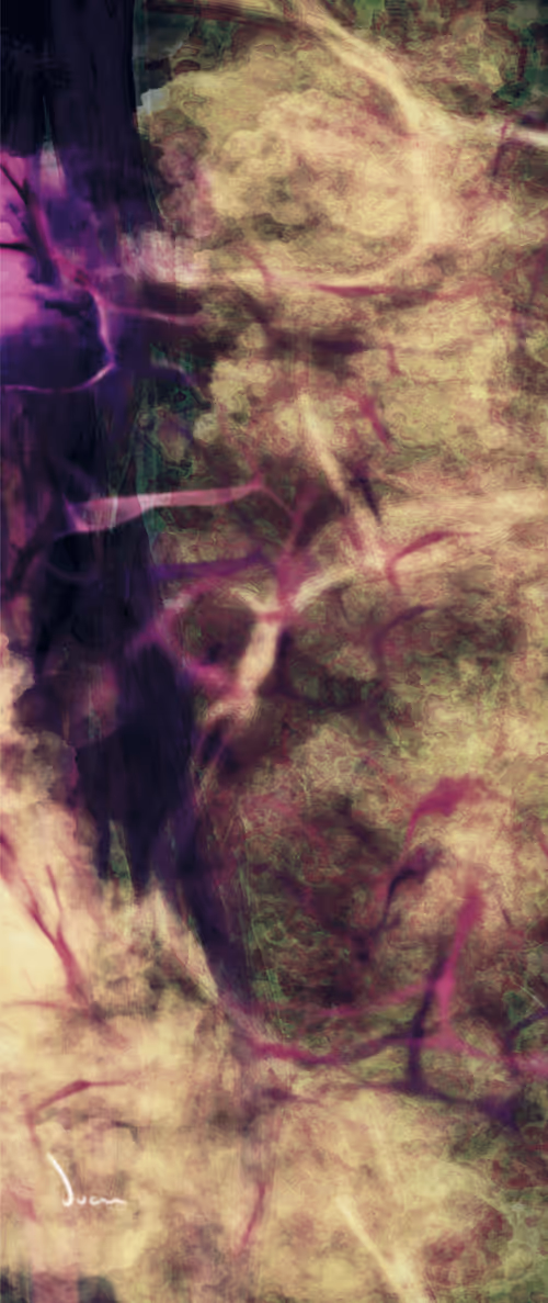 Item #13124369587173456456622081061708634094950931907258983573597019421367798333441 Media