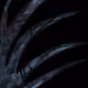 32061297188437632586344806855703571852601521984131466550781551698394279313409