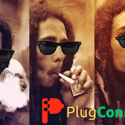 Plug Marley 