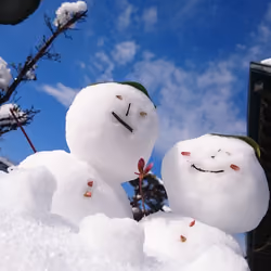 Japanese countryside scenery13