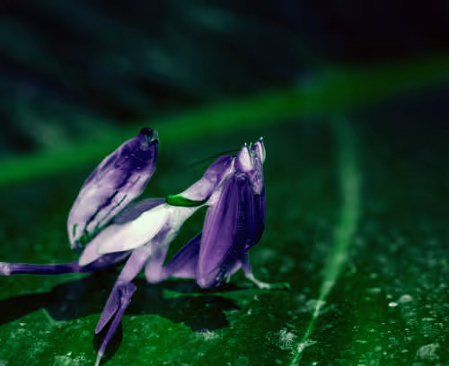 99573757737983831021153303026229718025849584965265171021817306557317614927873